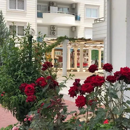 Neu Luxus Mit Balkon Avsallar